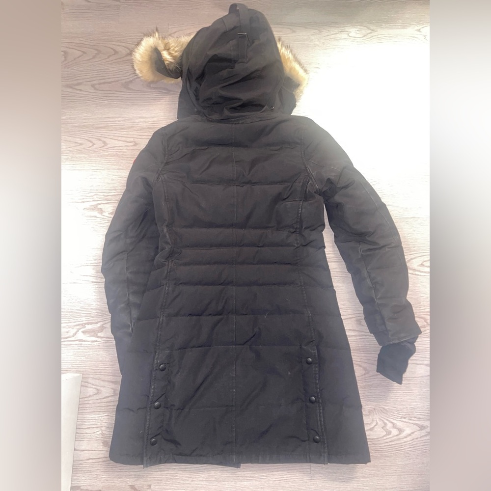 Black Cananada Goose. - Picture 2 of 6